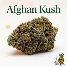 Afghan Kush cannabis strain