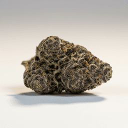 A-10 cannabis strain
