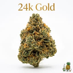 24k Gold cannabis strain