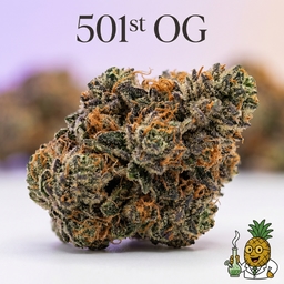 501st OG cannabis strain