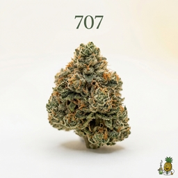 707 cannabis strain