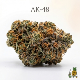 AK-48 cannabis strain