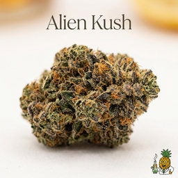 Alien Kush cannabis strain