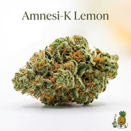 Amnesi-K Lemon cannabis strain