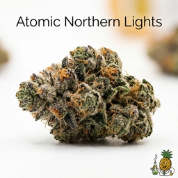 Atomic Northern Lights cannabis strain