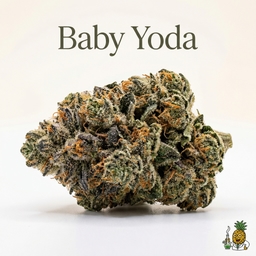 Baby Yoda cannabis strain