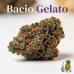 Bacio Gelato cannabis strain