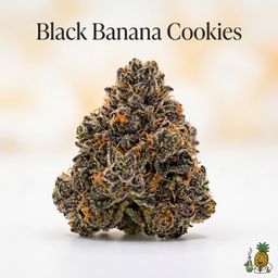 Black Banana Cookies cannabis strain