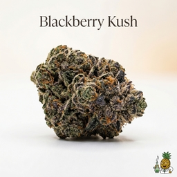 Blackberry Kush cannabis strain