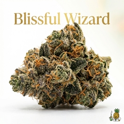 Blissful Wizard cannabis strain