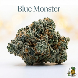 Blue Monster cannabis strain