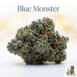 Blue Monster cannabis strain
