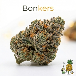 Bonkers cannabis strain