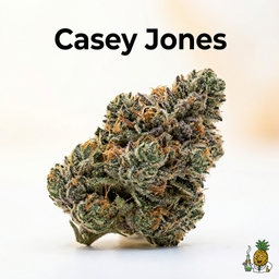 Casey Jones cannabis strain