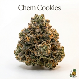 Chem Cookies cannabis strain