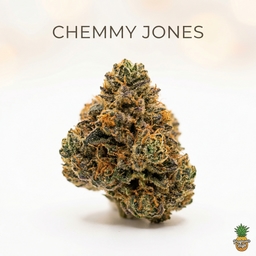 Chemmy Jones cannabis strain
