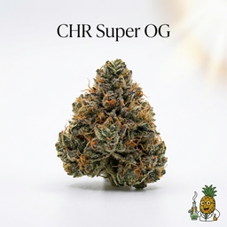 CHR Super OG cannabis strain