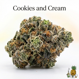 Cookies and Cream cannabis strain