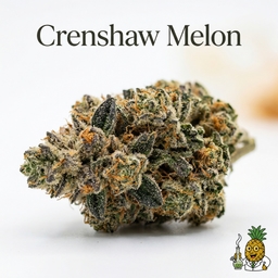 Crenshaw Melon cannabis strain