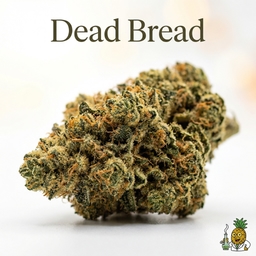 Dead Bread cannabis strain