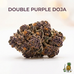 Double Purple Doja cannabis strain