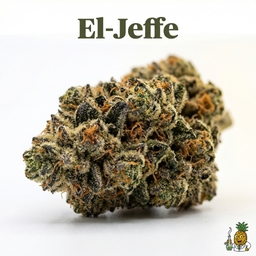 El-Jeffe cannabis strain