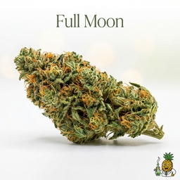 Full Moon cannabis strain