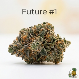 Future #1 cannabis strain