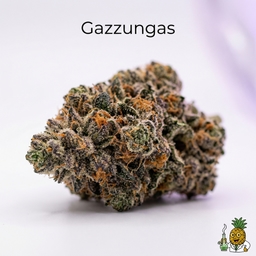 Gazzungas cannabis strain