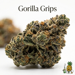 Gorilla Grips cannabis strain