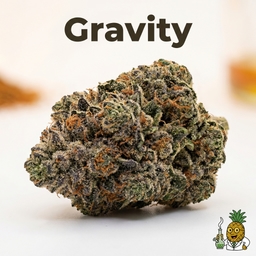 Gravity cannabis strain