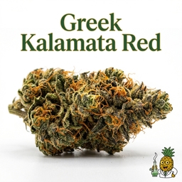Greek Kalamata Red cannabis strain