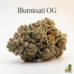 Illuminati OG cannabis strain