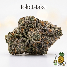 Joliet-Jake cannabis strain