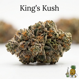 King's Kush cannabis strain