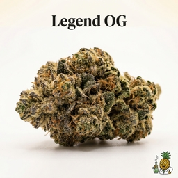 Legend OG cannabis strain