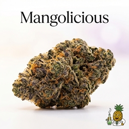 Mangolicious cannabis strain