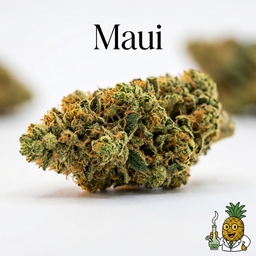 Maui cannabis strain