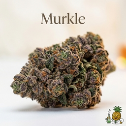 Murkle cannabis strain