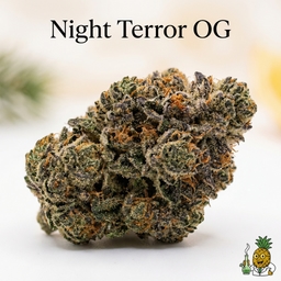 Night Terror OG cannabis strain