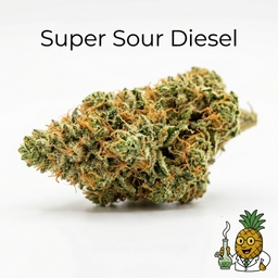 Super Sour Diesel cannabis strain