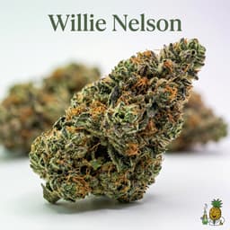 Willie Nelson cannabis strain