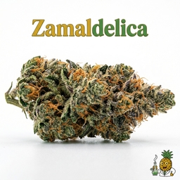 Zamaldelica cannabis strain